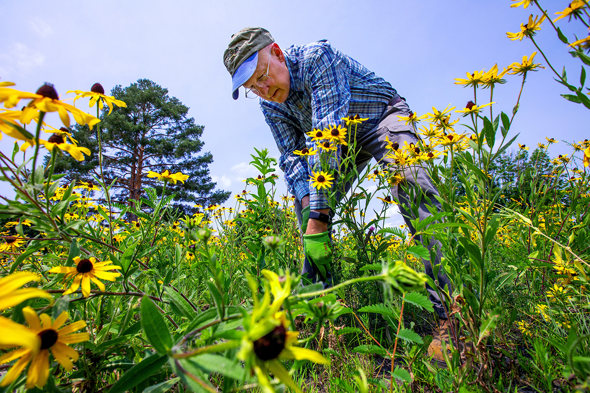 Backyard beekeeping now allowed in Urbandale after city code changed