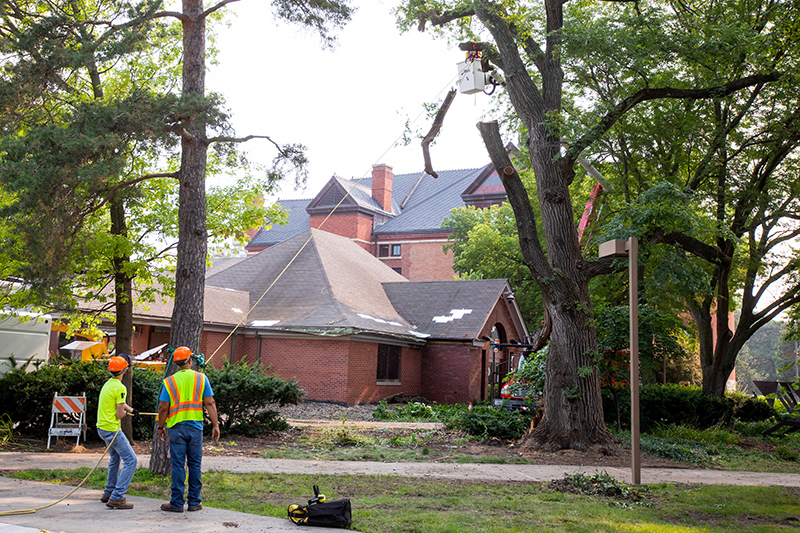 Roped-off and cut tree branch is lowered to the ground outside t