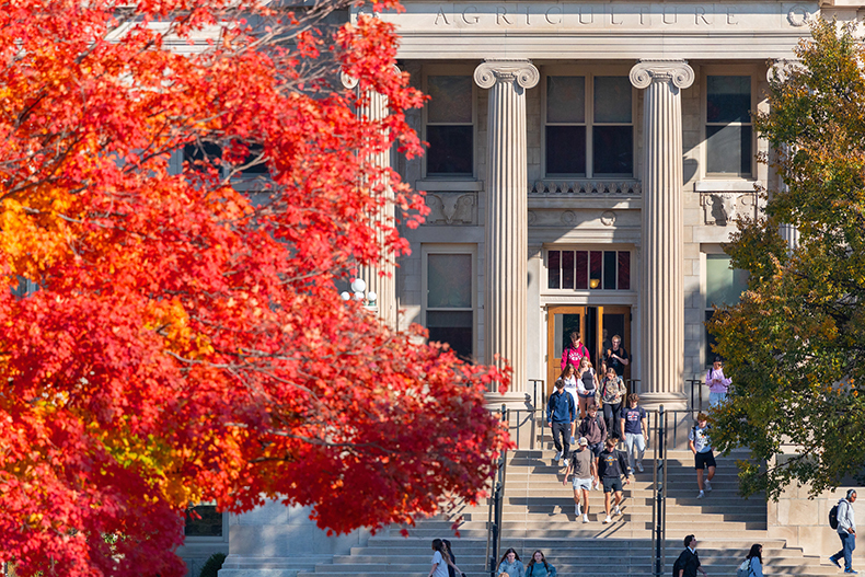 Red maple tree flanks students exiting academic building